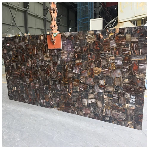 black petrified stone black petrified stone