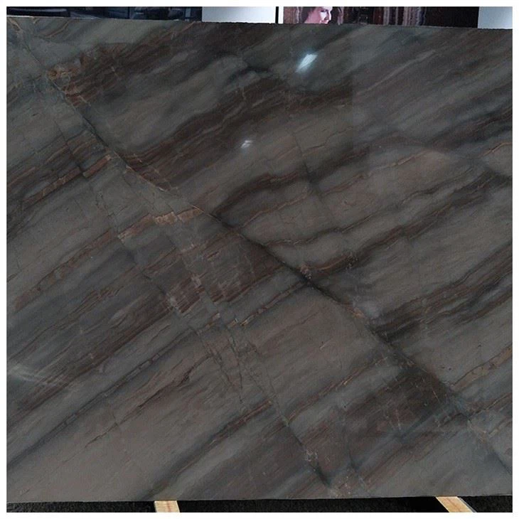 Elegant Dune Quartzite Slabs