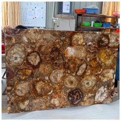 Lempengan Kayu yang Membatu